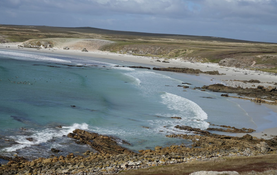 Pebble Island, United Kingdom